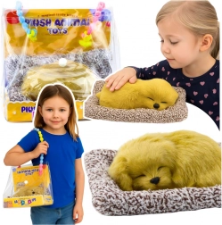 śpiące szczenię labradora na poduszeczce z futerkowym „kożuszkiem” w przenośnej torbie