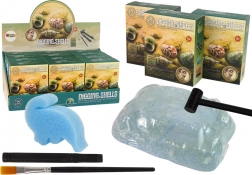 Zestaw archeologiczny – wykopaliska muszli, 3 modele niespodzianki