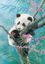Puzzle 500 elementów Bamboo Dreams panda