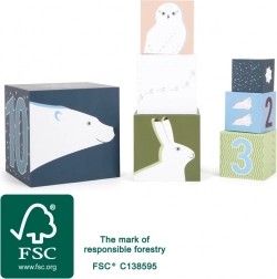 Klocki do układania Arctic dla dzieci