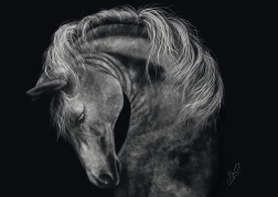 Puzzle Siła konia 1000 elementów