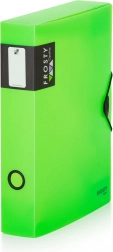 Pudełko z gumką A4 Opaline Frosty zielone
