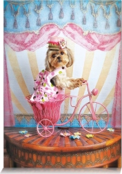 Puzzle Marzyciel Podróżnik 500 elementów