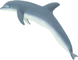 Delfin butlonosy Safari Ltd.