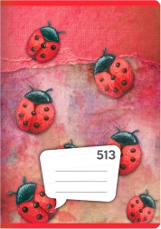 zeszyt A5, 10 kartek – w linie 12 mm