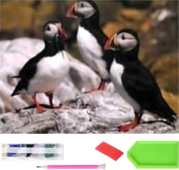 Diamentowe malowanie XXL 120 × 60 cm – maskonury, zestaw do mozaiki