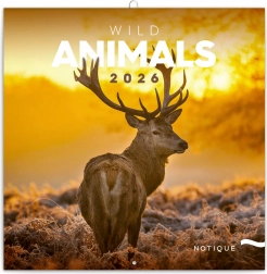 Kalendarz notatkowy Dzikie zwierzęta 2026