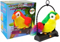 Papuga Pleciuga Ptak powtarzający słowa zielony