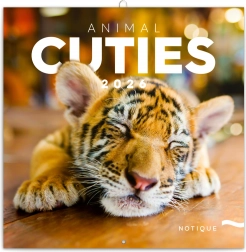 Kalendarz notatkowy Młode 2026