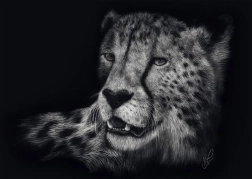 Puzzle szybkość geparda 1000 elementów SCHMIDT