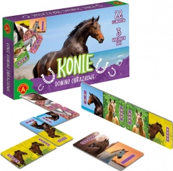 Ilustrowane domino Konie