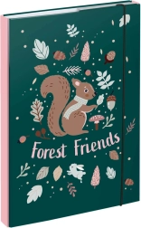 Teczki na zeszyty szkolne A4 z motywem wiewiórki BAAGL