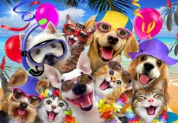 Alipson Puzzle Selfie Plażowa impreza 1000 elementów