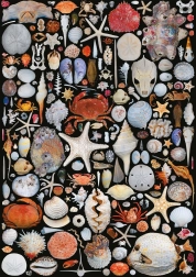 Puzzle Z plaży 1000 elementów PIATNIK