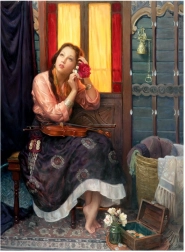 Puzzle Karminowa róża 1000 elementów