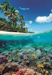 Puzzle Letni raj 1000 elementów od Clementoni