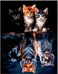 Diamentowe malowanie – koty i drapieżniki 30 × 40 cm
