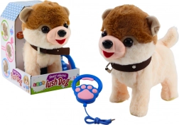 Interaktywny piesek na smyczy