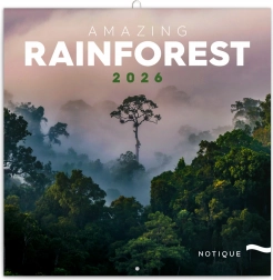 Kalendarz notatnikowy Lasy deszczowe 2026