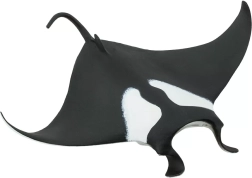 Safari Ltd. manta olbrzymia (figurka) - 1 sztuka