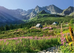 Puzzle CHERRY PAZZI Tatry Wysokie – Dolina Housenková, 1000 elementów