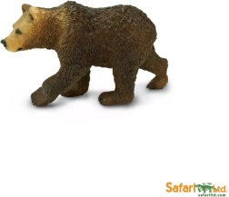 Niedźwiedź grizzly – młode