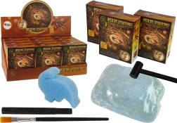 Wykopaliska starożytnych stworzeń – niespodzianka: amonit