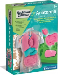 Edukacyjny zestaw anatomii CLEMENTONI