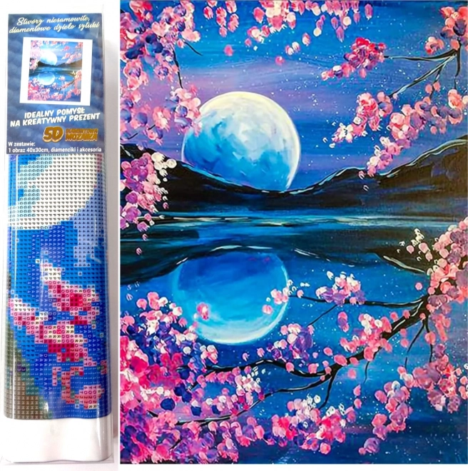 Norimpex diamentowe malowanie Wschodzący księżyc 30x40 cm