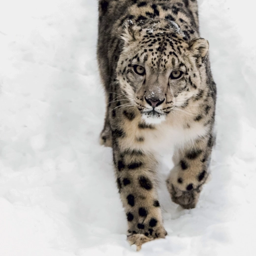 Przejrzyste kalendarium notatkowe