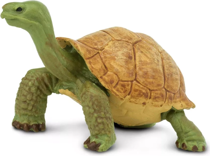 Safari Ltd. figurka żółwia olbrzymiego