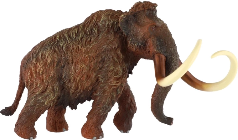 Wierna tekstura i kolorystyka