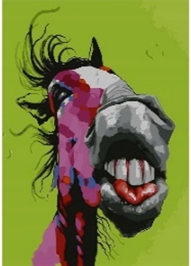 Norimpex Malowanie po numerach Crazy Horse 40 × 50 cm