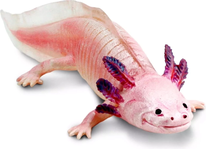 Safari Ltd. figurka aksolotla