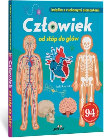 Książka z ruchomymi elementami Ludzkie ciało od głowy aż po pięty