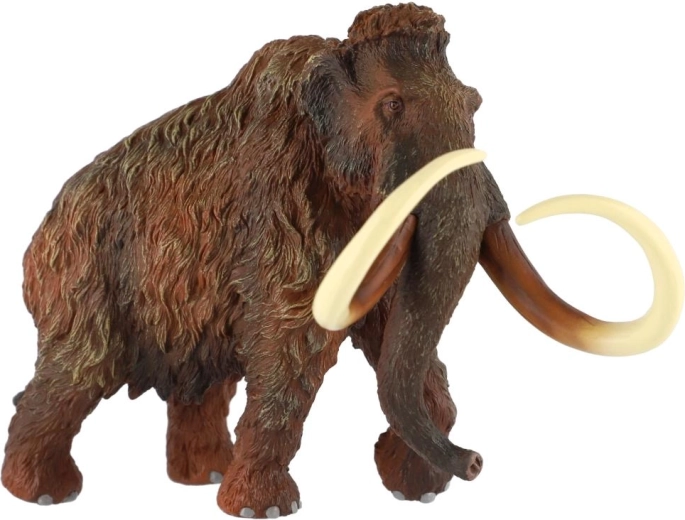 Imponujące ciosy dla autentycznego wyglądu