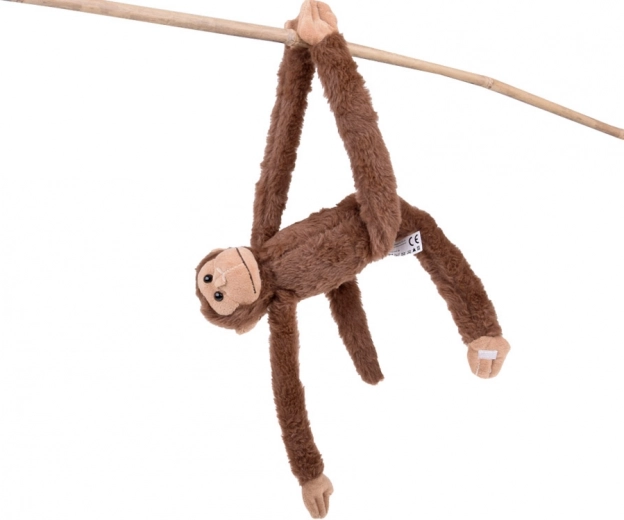 Przyczepne łapki dla niekończącej się zabawy