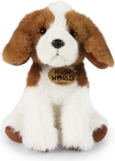 Wierny wygląd ulubionego beagle
