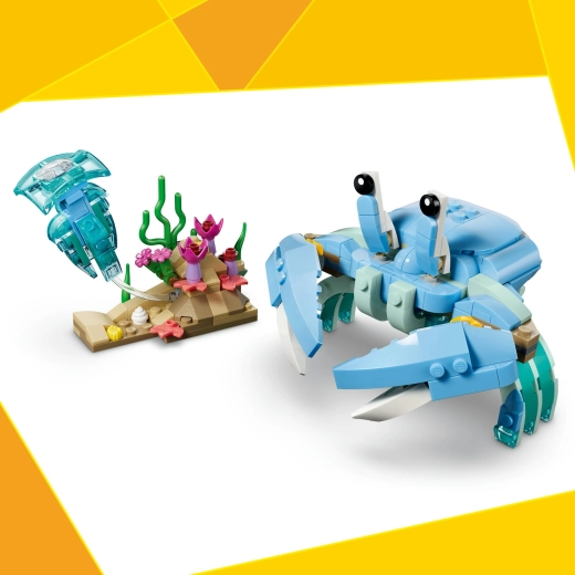 Krab do pomysłowej zabawy