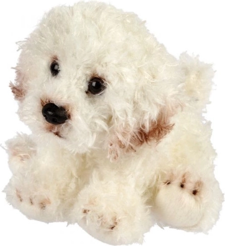 Pluszowy piesek bichon 13 cm