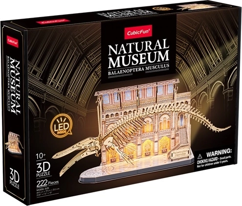 Cubic Fun 3D puzzle LED – muzeum przyrodnicze ze szkieletem płetwala błękitnego