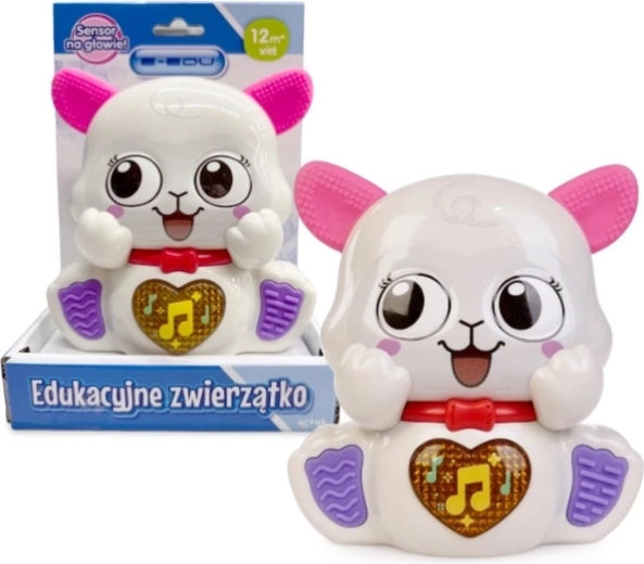 Muzyczna owieczka e-edu
