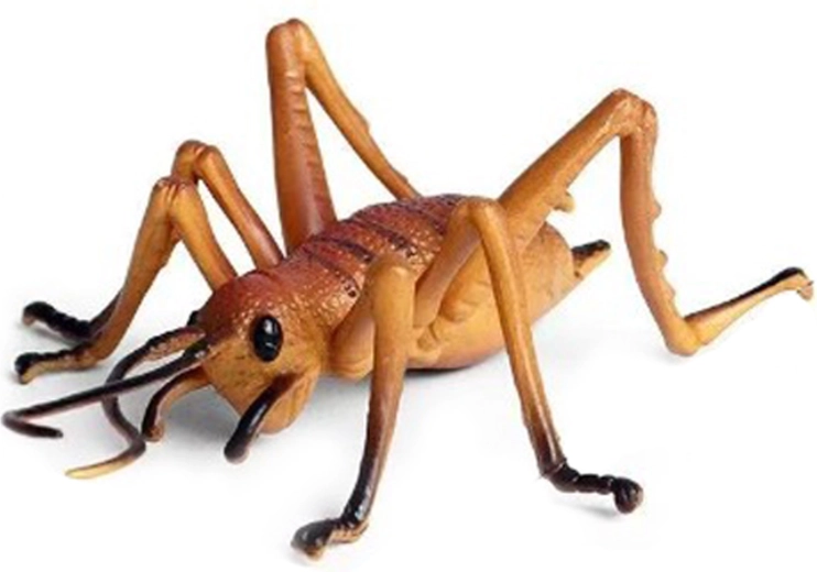 Plastikowy świerszcz 10 cm