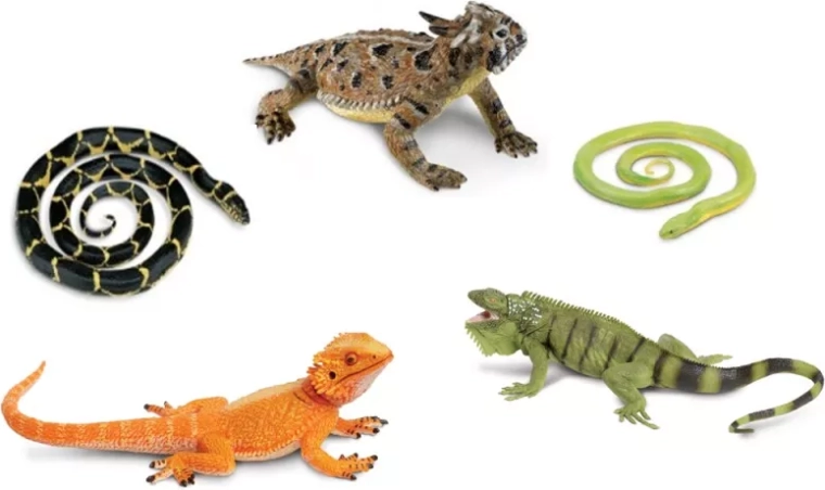 Safari Ltd. węże i jaszczurki – zestaw 5 figurek