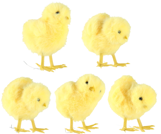 Zestaw 10 sztuk w 5 wzorach