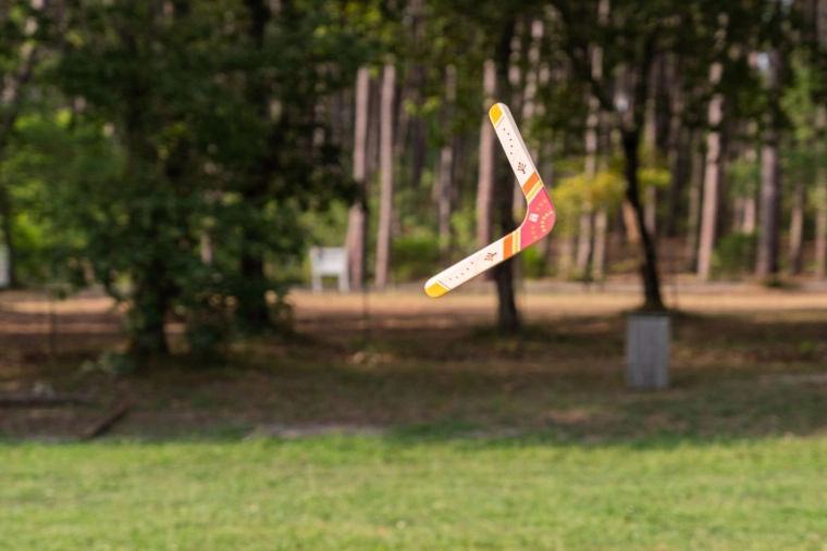 Wraca przy prawidłowym rzucie