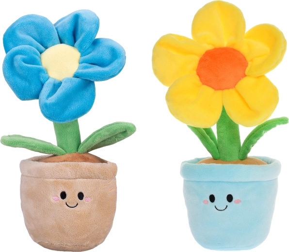 Radosne kolory i uroczy design