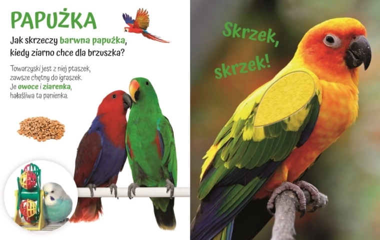 Pogłaszcz domowe zwierzątko – książeczka sensoryczna z miękkimi futerkami