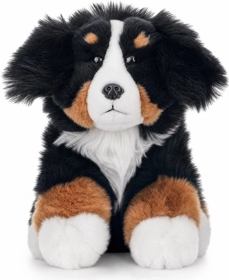 Berneński pies pasterski 23 cm