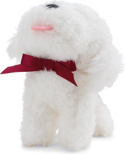 Uroczy bichon z kokardką